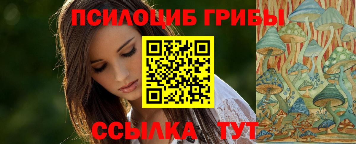 Псилоцибиновые грибы MAGIC MUSHROOMS  Вход с VPN  Вязники  Псилоцибиновые грибы мухоморы 